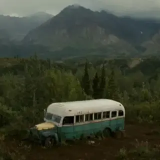 Into the wilde avontuur film